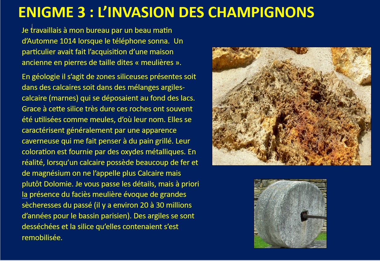 ENIGME 3 : L’INVASION DES CHAMPIGNONS